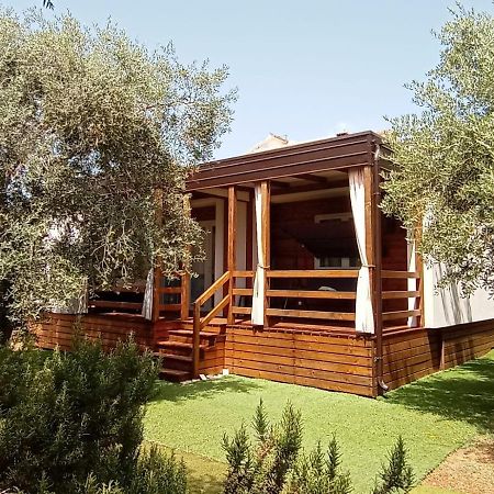 Mobile homes Olive&Sea Bibinje Esterno foto