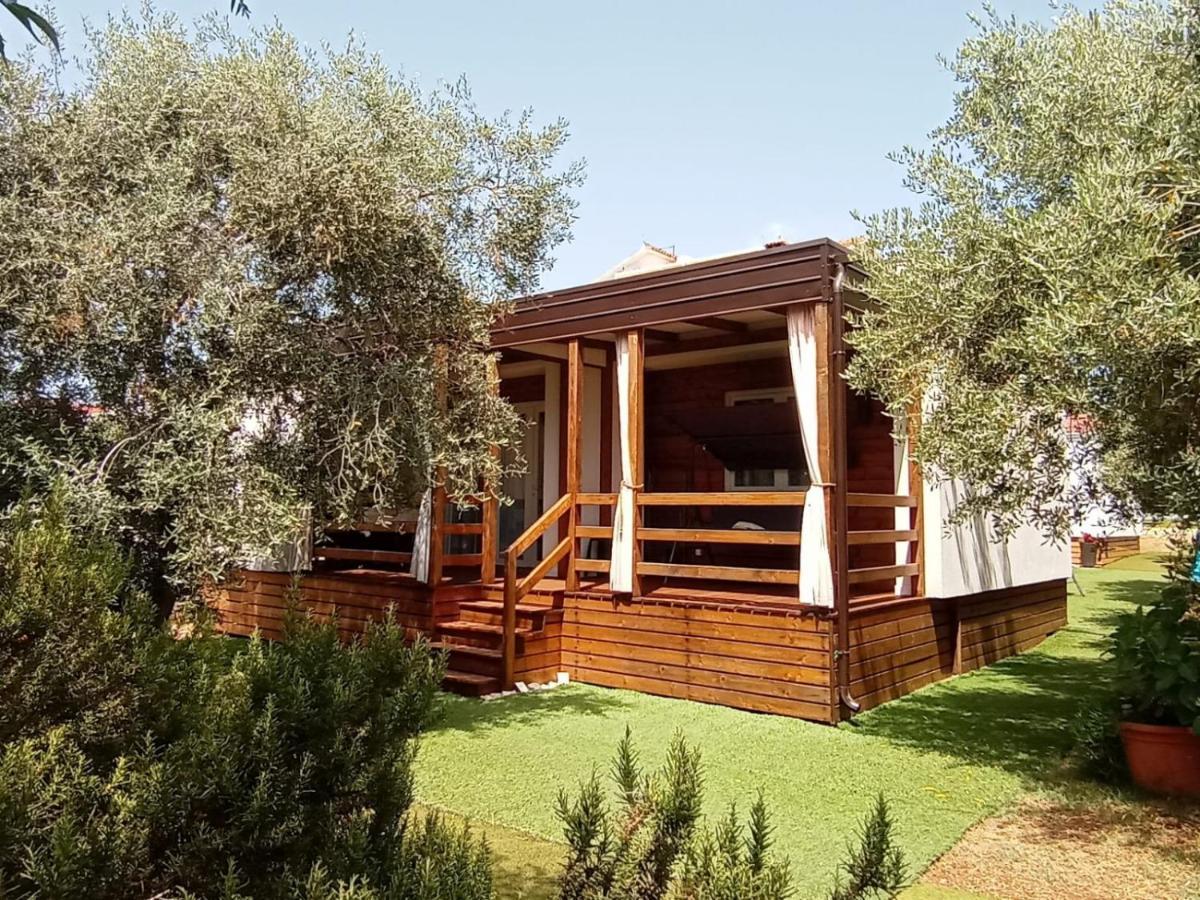 Mobile homes Olive&Sea Bibinje Esterno foto